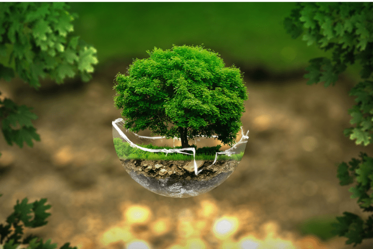 medio ambiente medio ambiente