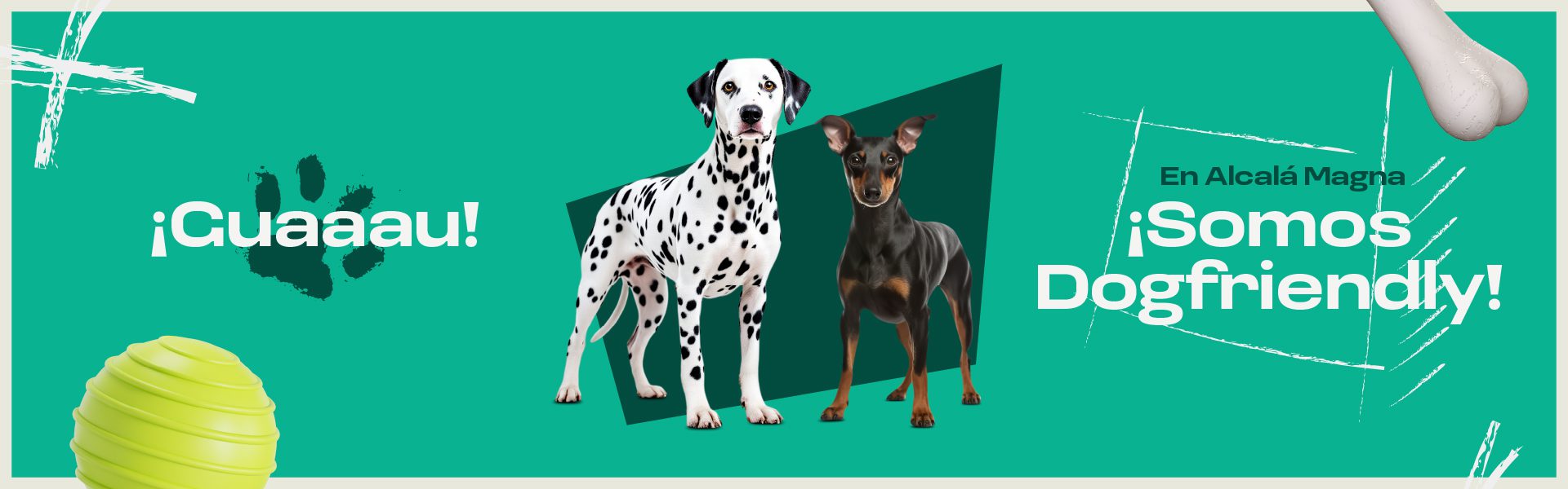 Dogfriendly