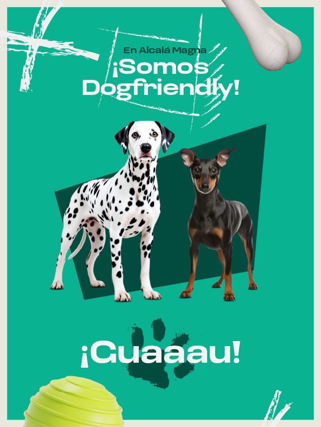 Dogfriendly